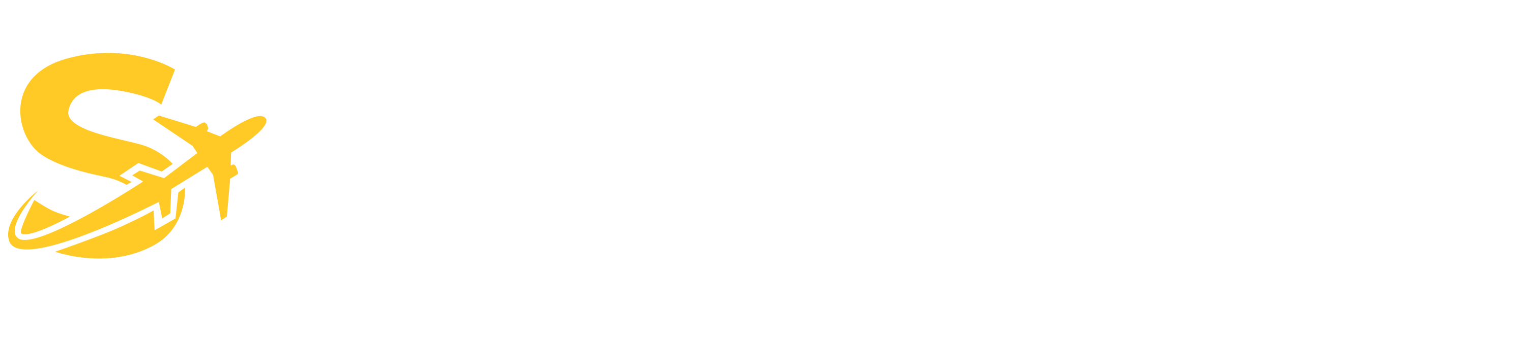 skylonvexa-logo